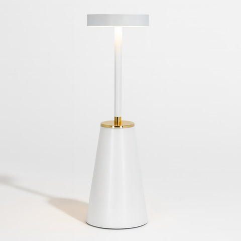 Wireless LED Table Lamp with Touch Control, Dimmable Light and USB Charging