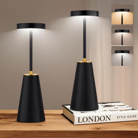 Wireless LED Table Lamp with Touch Control, Dimmable Light and USB Charging