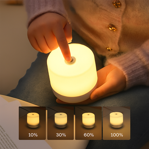 Touch Dimmable LED Bedside Lamp for Reading and Night Lighting for Home