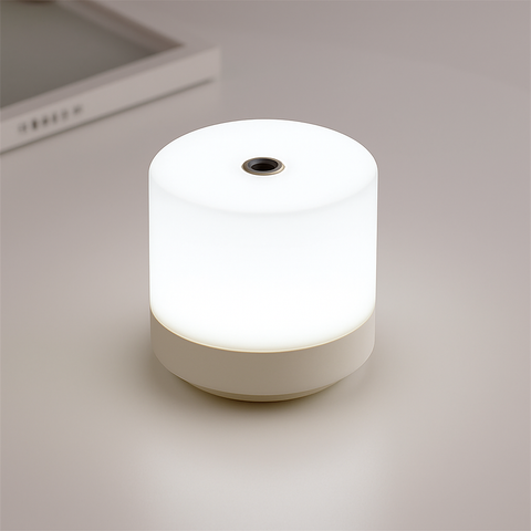 Touch Dimmable LED Bedside Lamp for Reading and Night Lighting for Home