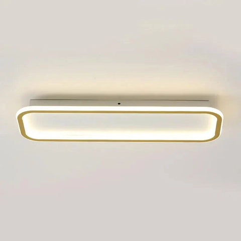 Oval LED Flush-Mount Ceiling Light