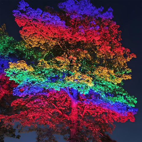 Waterproof RGB LED Tree Spotlight for Outdoor Landscape Lighting