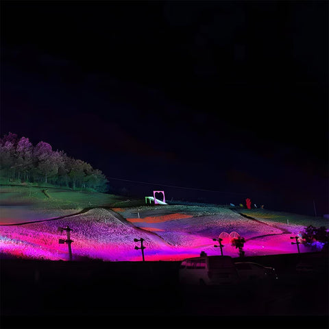 Waterproof RGB LED Landscape Spotlight for Trees and Home Facades