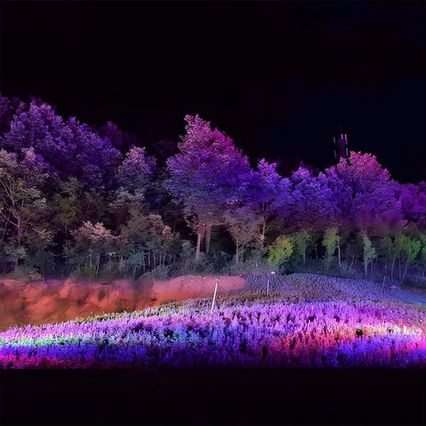 Waterproof RGB LED Landscape Spotlight for Trees and Home Facades