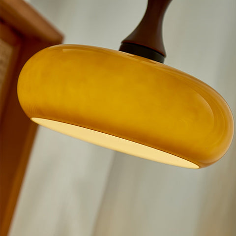 Glass Dome Pendant Light with Wood Accent