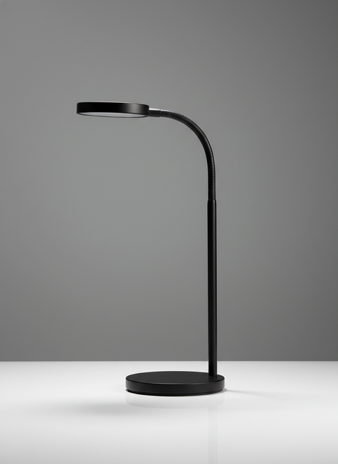 Adjustable Black Metal Desk Lamp with Gooseneck LED