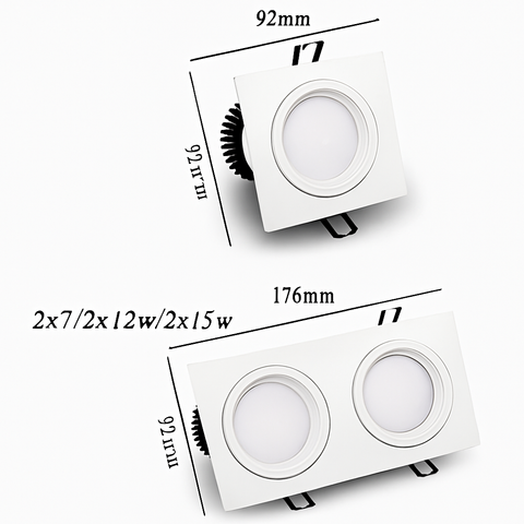 Adjustable COB LED Recessed Downlight with Single or Twin Heads