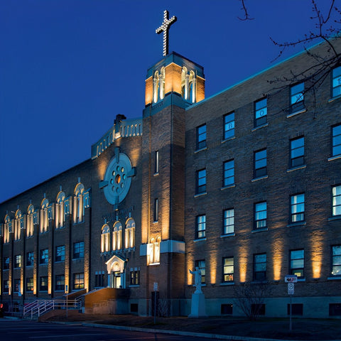 Waterproof LED Landscape Spotlight for Trees and Building Facades