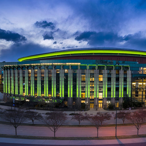 Waterproof LED Landscape Spotlight for Trees and Building Facades